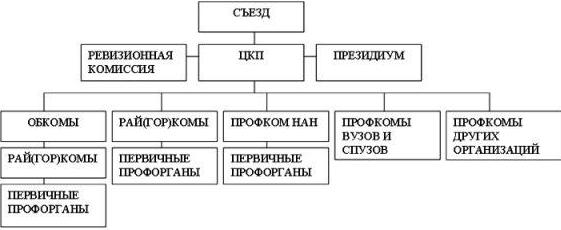 структура первичной профсоюзной организации схема