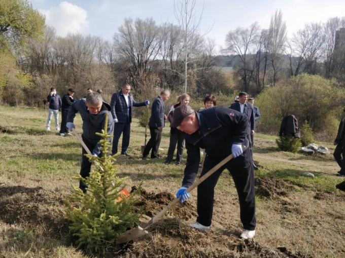 “Жангак багына” 350 түп бак-дарактар отургузулду