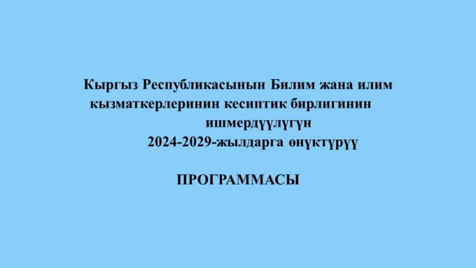 Борбордук комитеттин ишмердүүлүгүн өнүктүрүү программасы